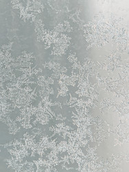 Similar image 22424483