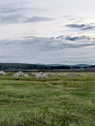 Similar image 22424492