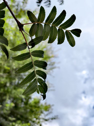 Similar image 22424496