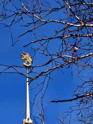 Similar image 22424498