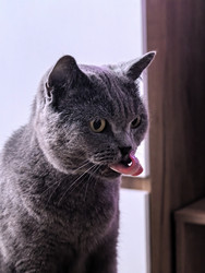 Similar image 22424499