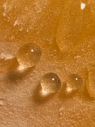 Similar image 22424502