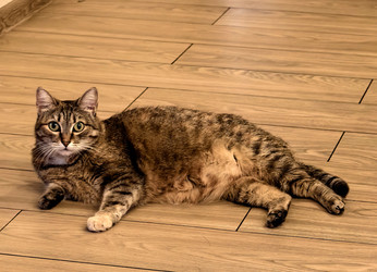 Similar image 22424503