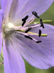 Similar image 22424505