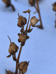 Similar image 22424506