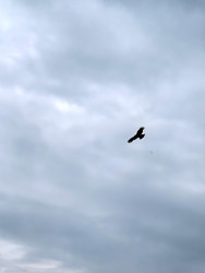 Similar image 22424507