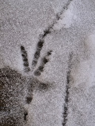 Similar image 22424508