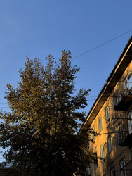 Similar image 22424511