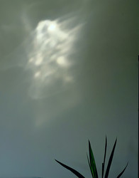 Similar image 22424513