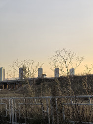 Similar image 22424515