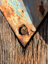 Similar image 22424528