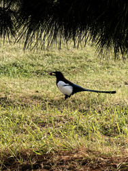 Similar image 22424532