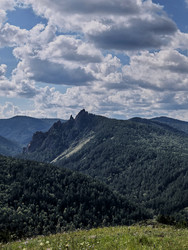 Similar image 22424535