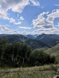 Similar image 22424539