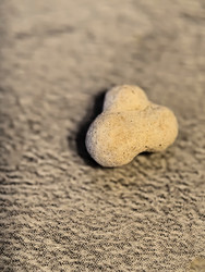 Similar image 22424542