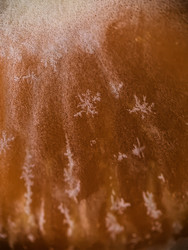 Similar image 22424543