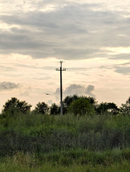 Similar image 22424545