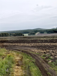 Similar image 22424546