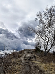 Similar image 22424548