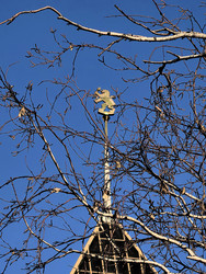 Similar image 22424549