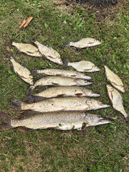 Similar image 22424550