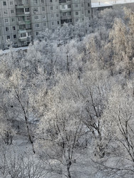 Similar image 22424555