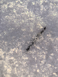 Similar image 22424557