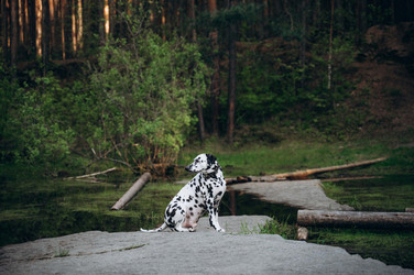 Similar image 22416656