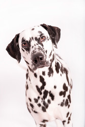 Similar image 22416657