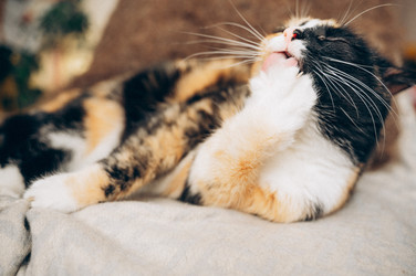 Similar image 22416658