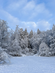 Similar image 22410544