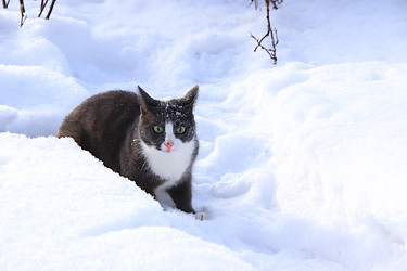 Similar image 22410547