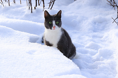 Similar image 22410548