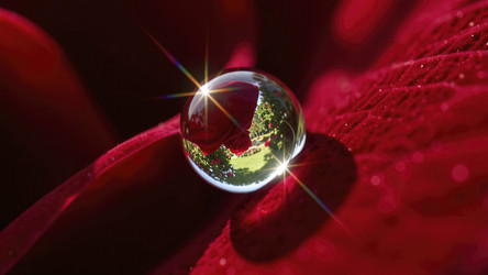 Similar image 22425680