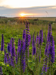 Similar image 22443014