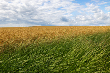 Similar image 22443015