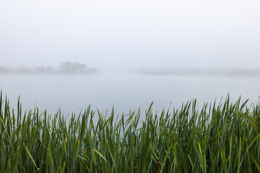 Similar image 22443017