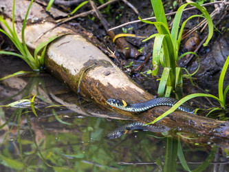 Similar image 22443018