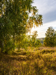 Similar image 22443019