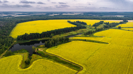 Similar image 22443020