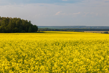 Similar image 22443023