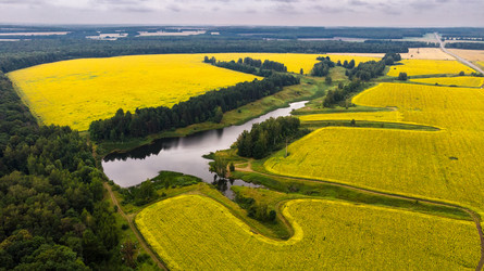 Similar image 22443027