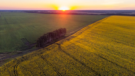 Similar image 22443028