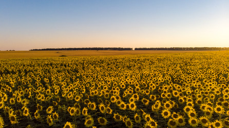 Similar image 22443029