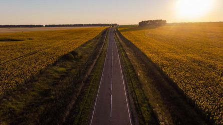 Similar image 22443030