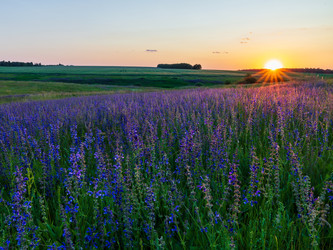 Similar image 22443032