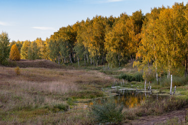 Similar image 22443035