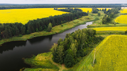 Similar image 22443037