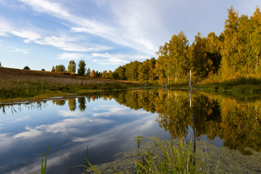 Similar image 22443039