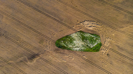 Similar image 22443040